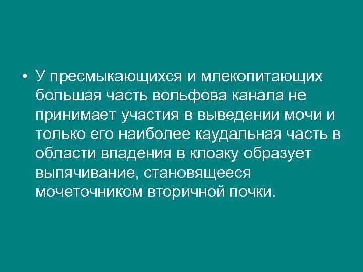  • У пресмыкающихся и млекопитающих большая часть вольфова канала не принимает участия в