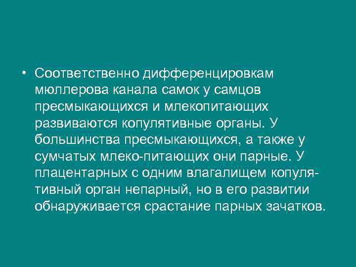  • Соответственно дифференцировкам мюллерова канала самок у самцов пресмыкающихся и млекопитающих развиваются копулятивные