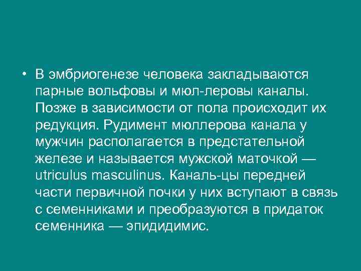  • В эмбриогенезе человека закладываются парные вольфовы и мюл леровы каналы. Позже в