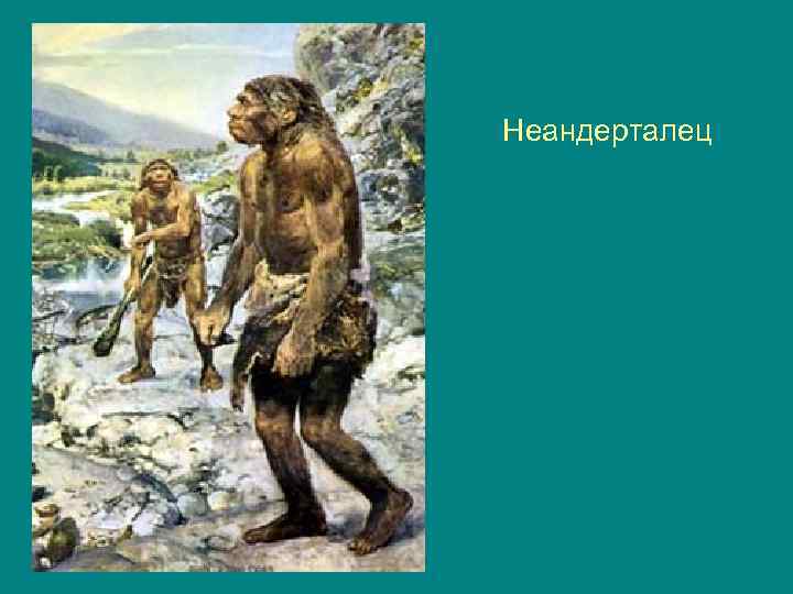 Неандерталец 
