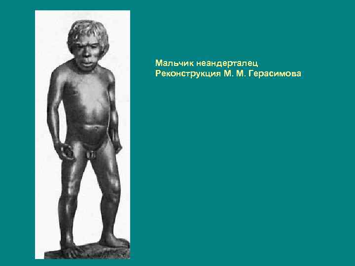 Мальчик неандерталец Реконструкция М. М. Герасимова 