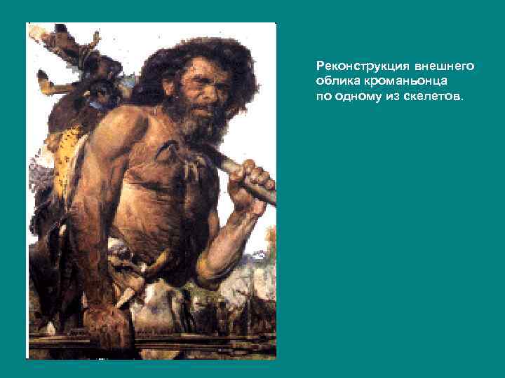 Реконструкция внешнего облика кроманьонца по одному из скелетов. 