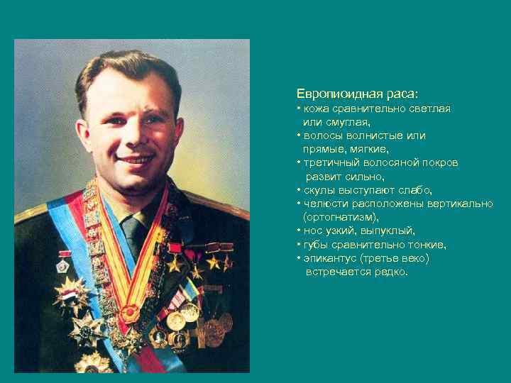 Европиоидная раса: • кожа сравнительно светлая или смуглая, • волосы волнистые или прямые, мягкие,