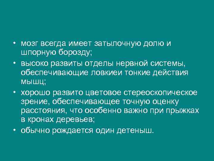  • мозг всегда имеет затылочную долю и шпорную борозду; • высоко развиты отделы