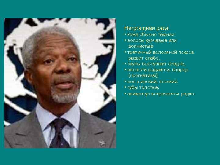 Негроидная раса • кожа обычно темная • волосы курчавые или волнистые • третичный волосяной