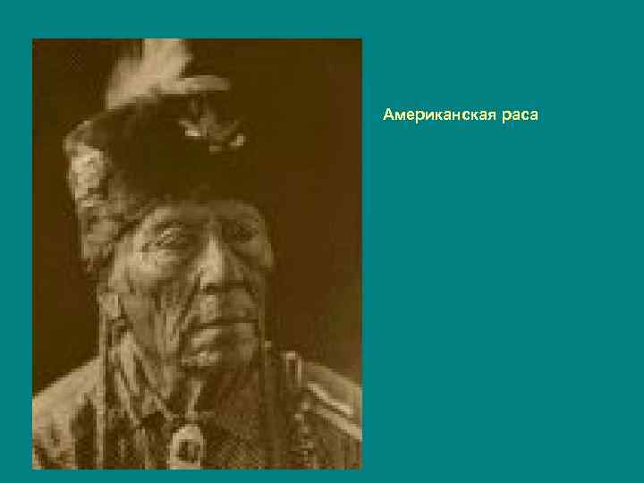 Американская раса 