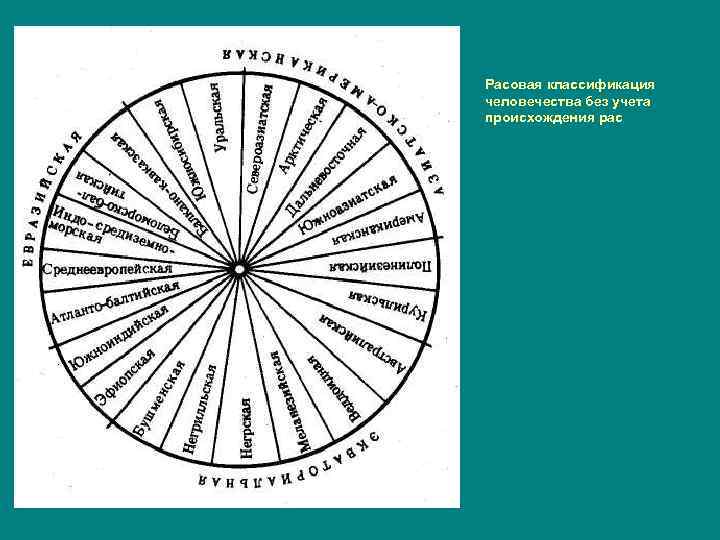 Схема расовой классификации