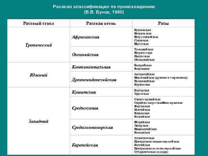 Схема расовой классификации