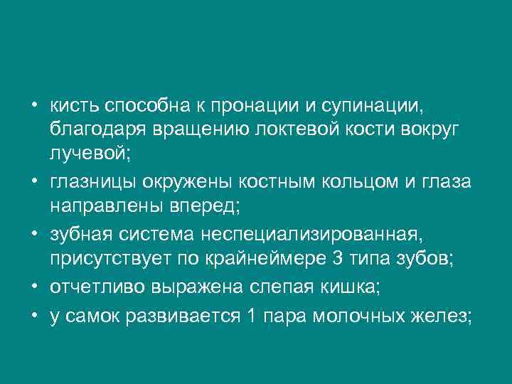  • кисть способна к пронации и супинации, благодаря вращению локтевой кости вокруг лучевой;
