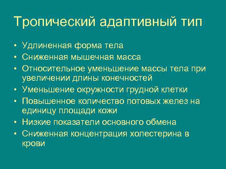 Тропический адаптивный тип • Удлиненная форма тела • Сниженная мышечная масса • Относительное уменьшение