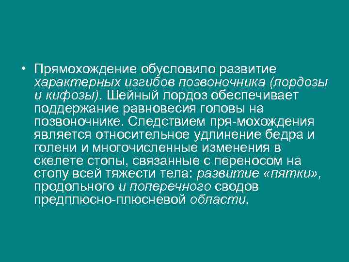  • Прямохождение обусловило развитие характерных изгибов позвоночника (лордозы и кифозы). Шейный лордоз обеспечивает