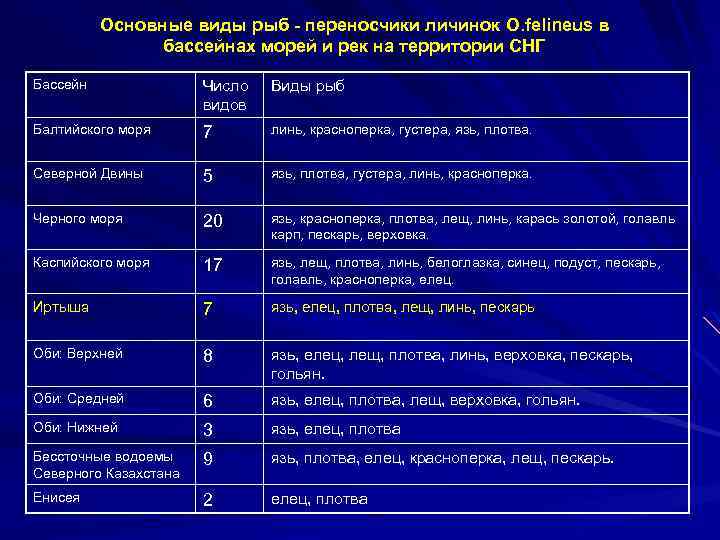 Основные виды рыб - переносчики личинок O. felineus в бассейнах морей и рек на