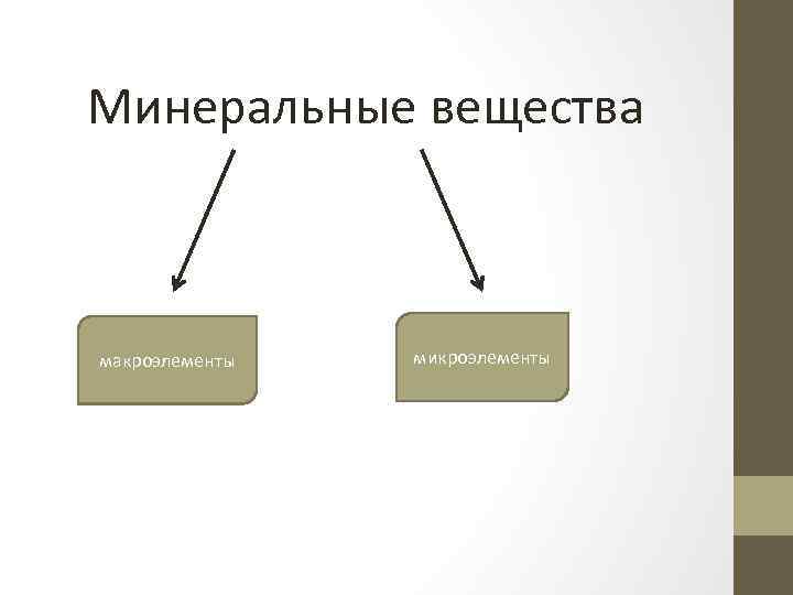 Минеральные вещества макроэлементы микроэлементы 