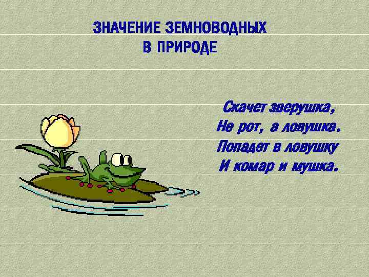 ЗНАЧЕНИЕ ЗЕМНОВОДНЫХ В ПРИРОДЕ Скачет зверушка, Не рот, а ловушка. Попадет в ловушку И