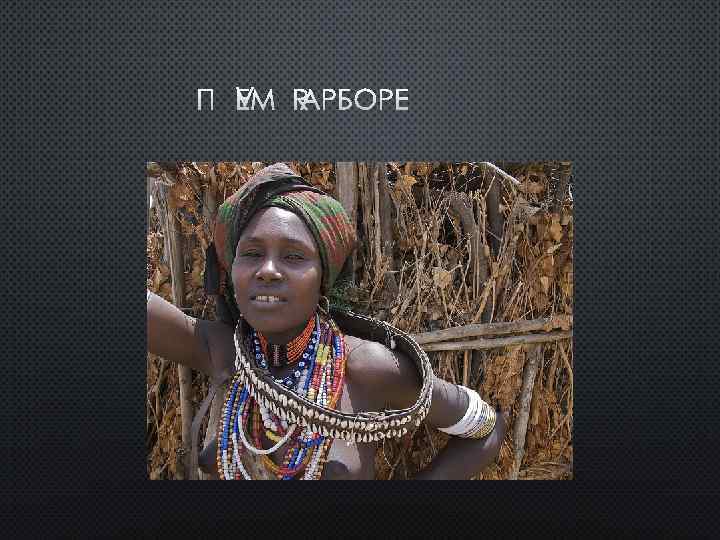 ПЛЕМЯ АРБОРЕ 