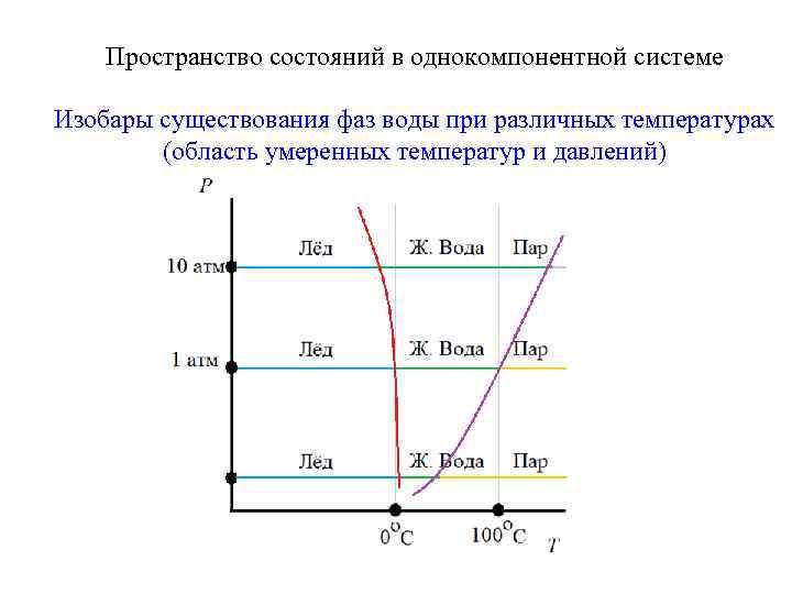Пространство состояний в однокомпонентной системе Изобары существования фаз воды при различных температурах (область умеренных