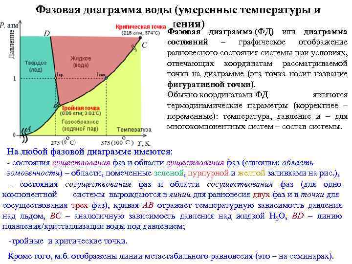 Фазовая диаграмма воды (умеренные температуры и давления) Фазовая диаграмма (ФД) или диаграмма состояний –