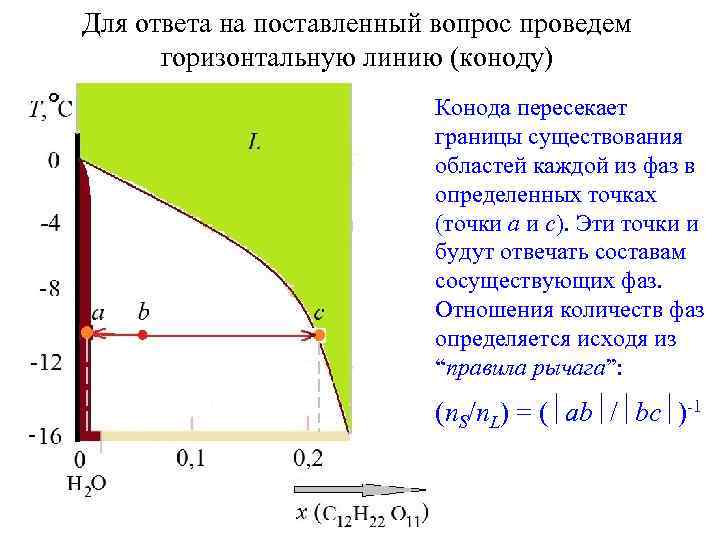 Для ответа на поставленный вопрос проведем горизонтальную линию (коноду) Конода пересекает границы существования областей