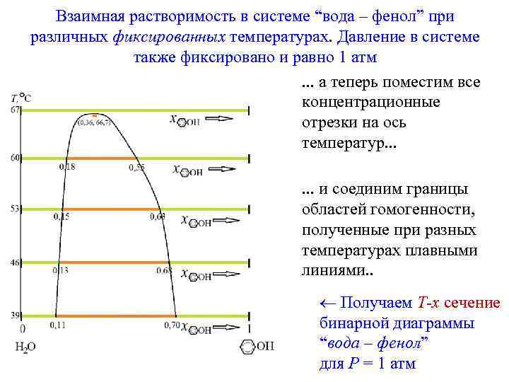 Взаимная растворимость в системе “вода – фенол” при различных фиксированных температурах. Давление в системе