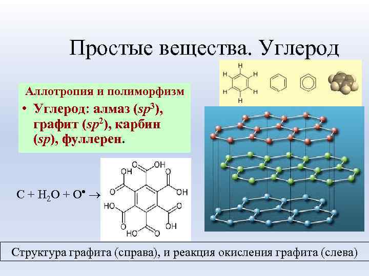 Простые вещества. Углерод Аллотропия и полиморфизм • Углерод: алмаз (sp 3), графит (sp 2),