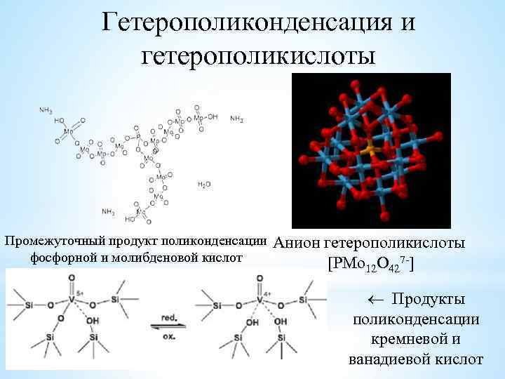 Гетерополиконденсация и гетерополикислоты Промежуточный продукт поликонденсации фосфорной и молибденовой кислот Анион гетерополикислоты [PMo 12