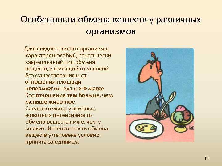Особенности обмена веществ у различных организмов Для каждого живого организма характерен особый, генетически закрепленный