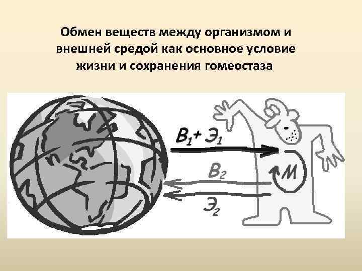 Общая схема обмена информацией между системой и внешней средой