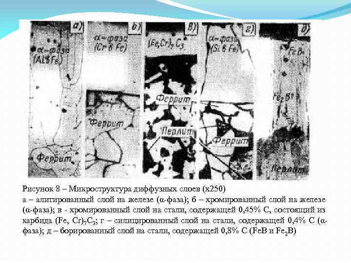 Рисунок 8 – Микроструктура диффузных слоев (х250) а – алитированный слой на железе (α-фаза);