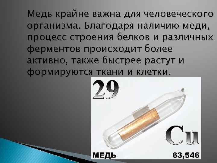 Медь крайне важна для человеческого организма. Благодаря наличию меди, процесс строения белков и различных