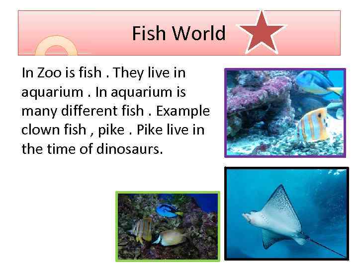 Fish World In Zoo is fish. They live in aquarium. In aquarium is many