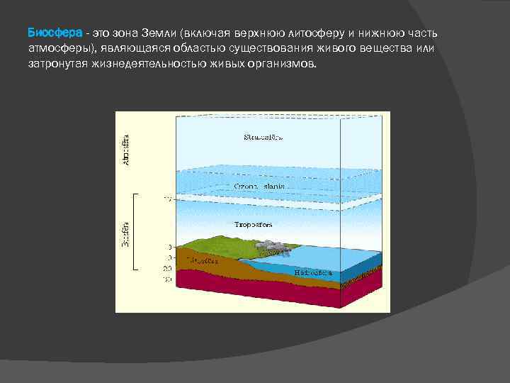 Биосфера - это зона Земли (включая верхнюю литосферу и нижнюю часть атмосферы), являющаяся областью