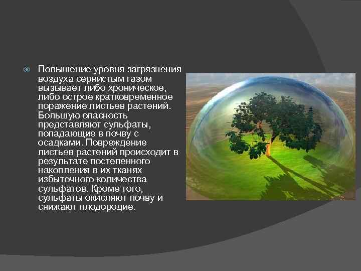  Повышение уровня загрязнения воздуха сернистым газом вызывает либо хроническое, либо острое кратковременное поражение