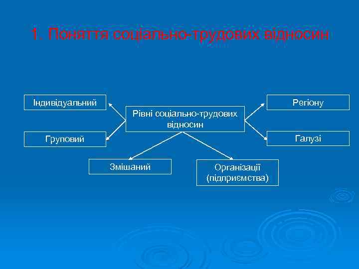 1. Поняття соціально-трудових відносин Індивідуальний Регіону Рівні соціально-трудових відносин Галузі Груповий Змішаний Організації (підприємства)