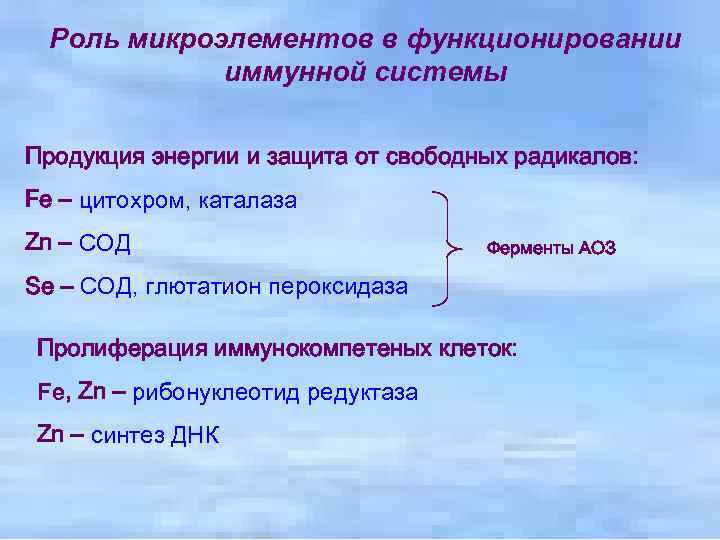 Роль микроэлементов в функционировании иммунной системы Продукция энергии и защита от свободных радикалов: Fe