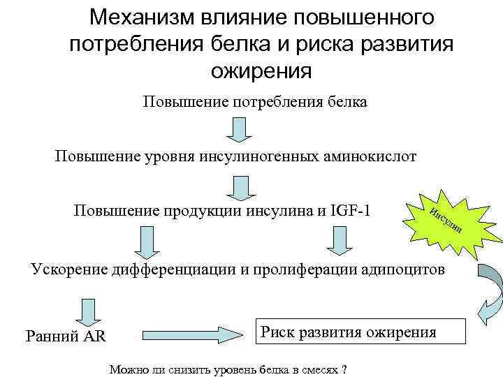 Механизм влияние повышенного потребления белка и риска развития ожирения Повышение потребления белка Повышение уровня