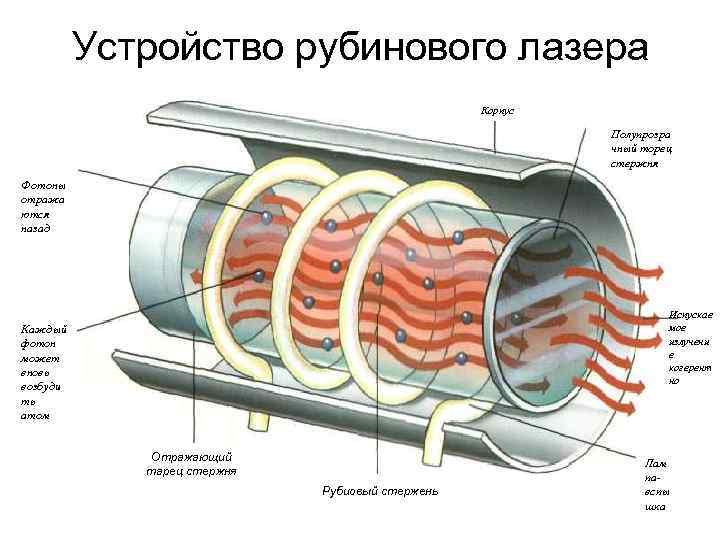  Устройство рубинового лазера Корпус Полупрозра чный торец стержня Фотоны отража ются назад Испускае