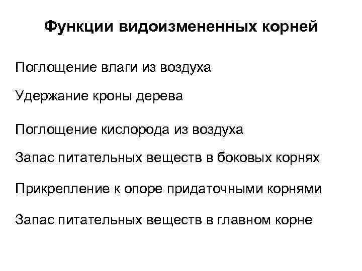 Функции видоизмененных корней Поглощение влаги из воздуха Удержание кроны дерева Поглощение кислорода из воздуха