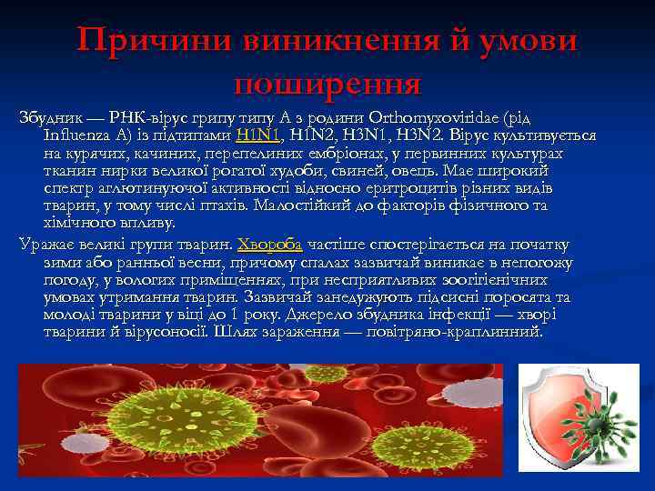 Причини виникнення й умови поширення Збудник — РНК-вірус грипу типу А з родини Orthomyxoviridae