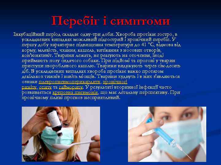 Перебіг і симптоми Інкубаційний період складає одну-три доби. Хвороба протікає гостро, в ускладнених випадках