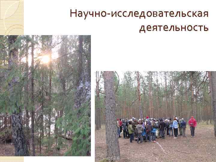 Научно-исследовательская деятельность 