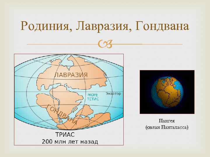 Гондвана и лавразия