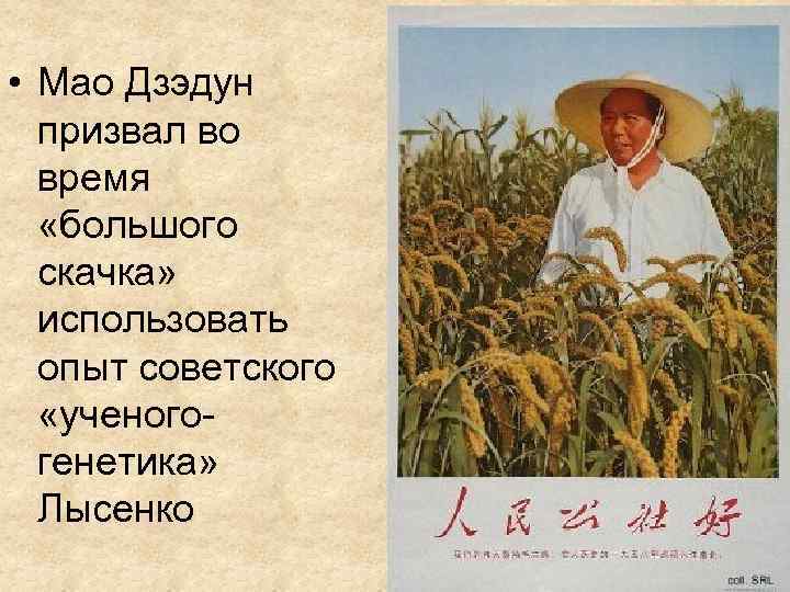  • Мао Дзэдун призвал во время «большого скачка» использовать опыт советского «ученогогенетика» Лысенко
