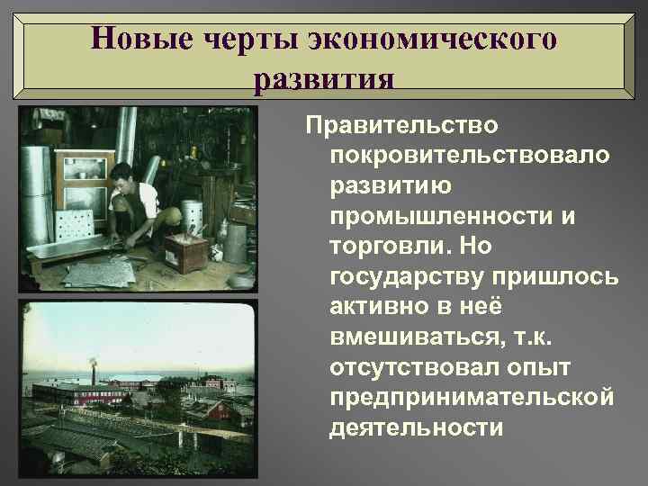 Новые черты экономического развития Правительство покровительствовало развитию промышленности и торговли. Но государству пришлось активно