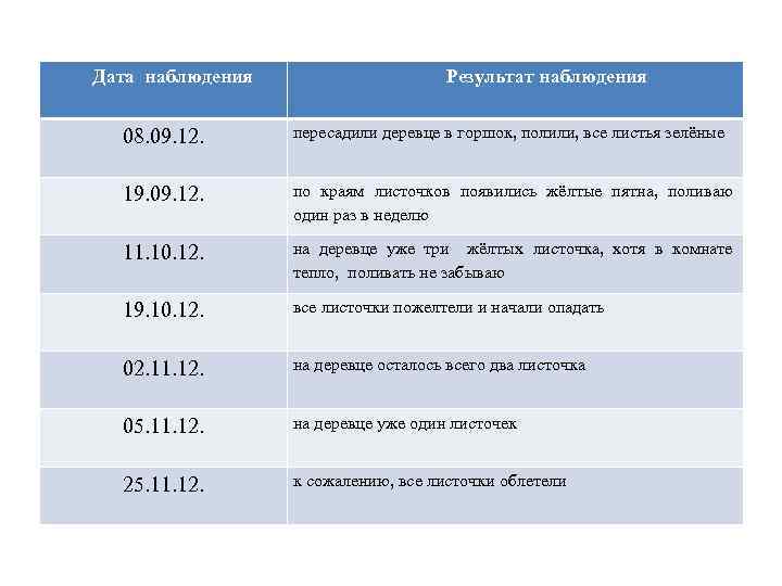 Дата наблюдения Результат наблюдения 08. 09. 12. пересадили деревце в горшок, полили, все листья