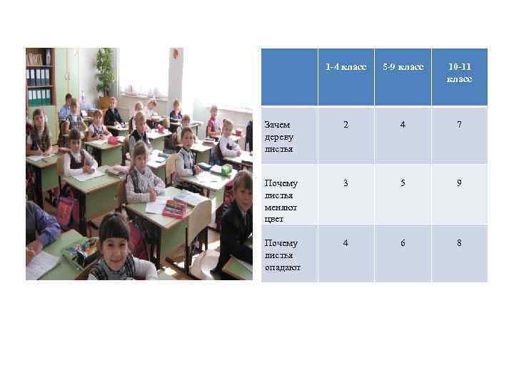 1 -4 класс 5 -9 класс 10 -11 класс Зачем дереву листья 2 4