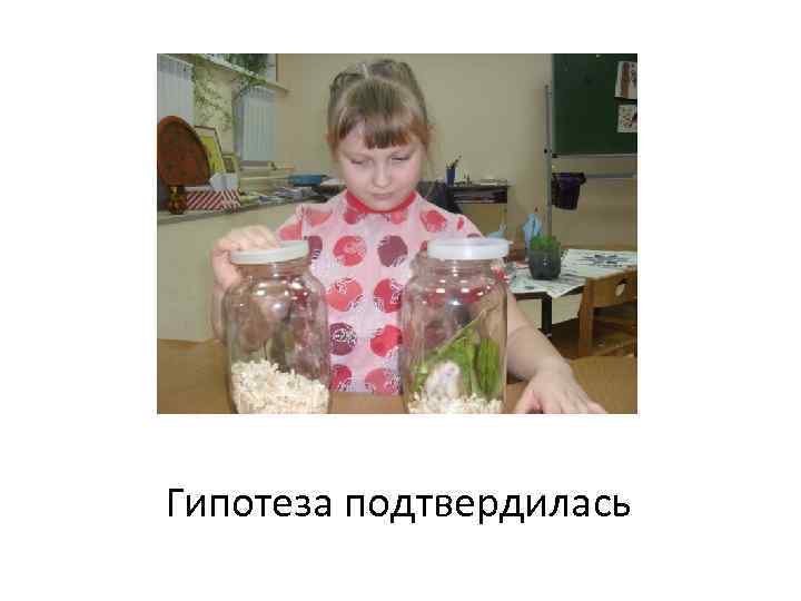 Гипотеза подтвердилась 