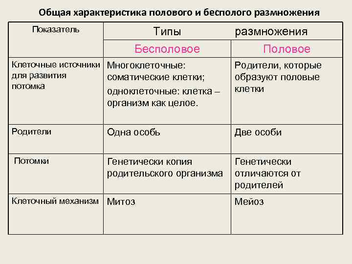 Охарактеризуйте функции половых клеток животных и человека