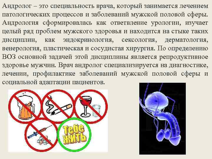 Андролог – это специальность врача, который занимается лечением патологических процессов и заболеваний мужской половой