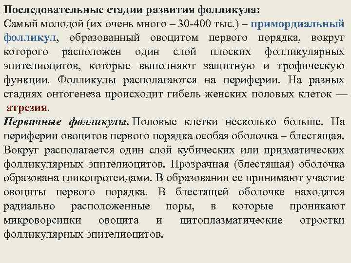 Последовательные стадии развития фолликула: Самый молодой (их очень много – 30 -400 тыс. )