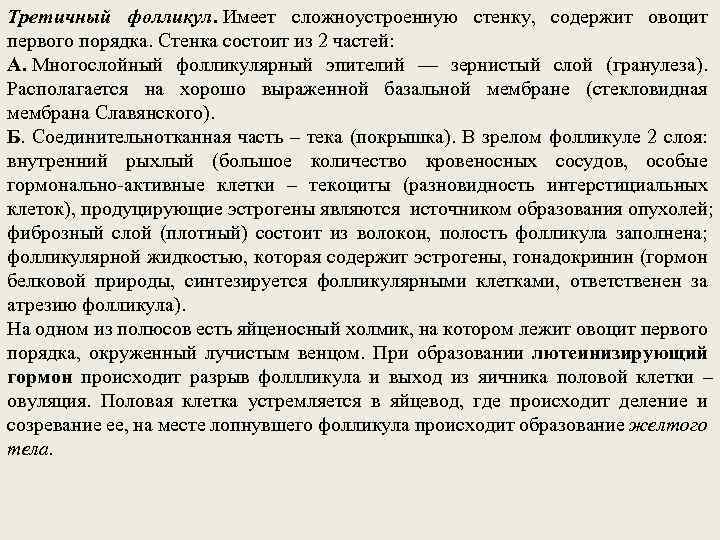 Третичный фолликул. Имеет сложноустроенную стенку, содержит овоцит первого порядка. Стенка состоит из 2 частей: